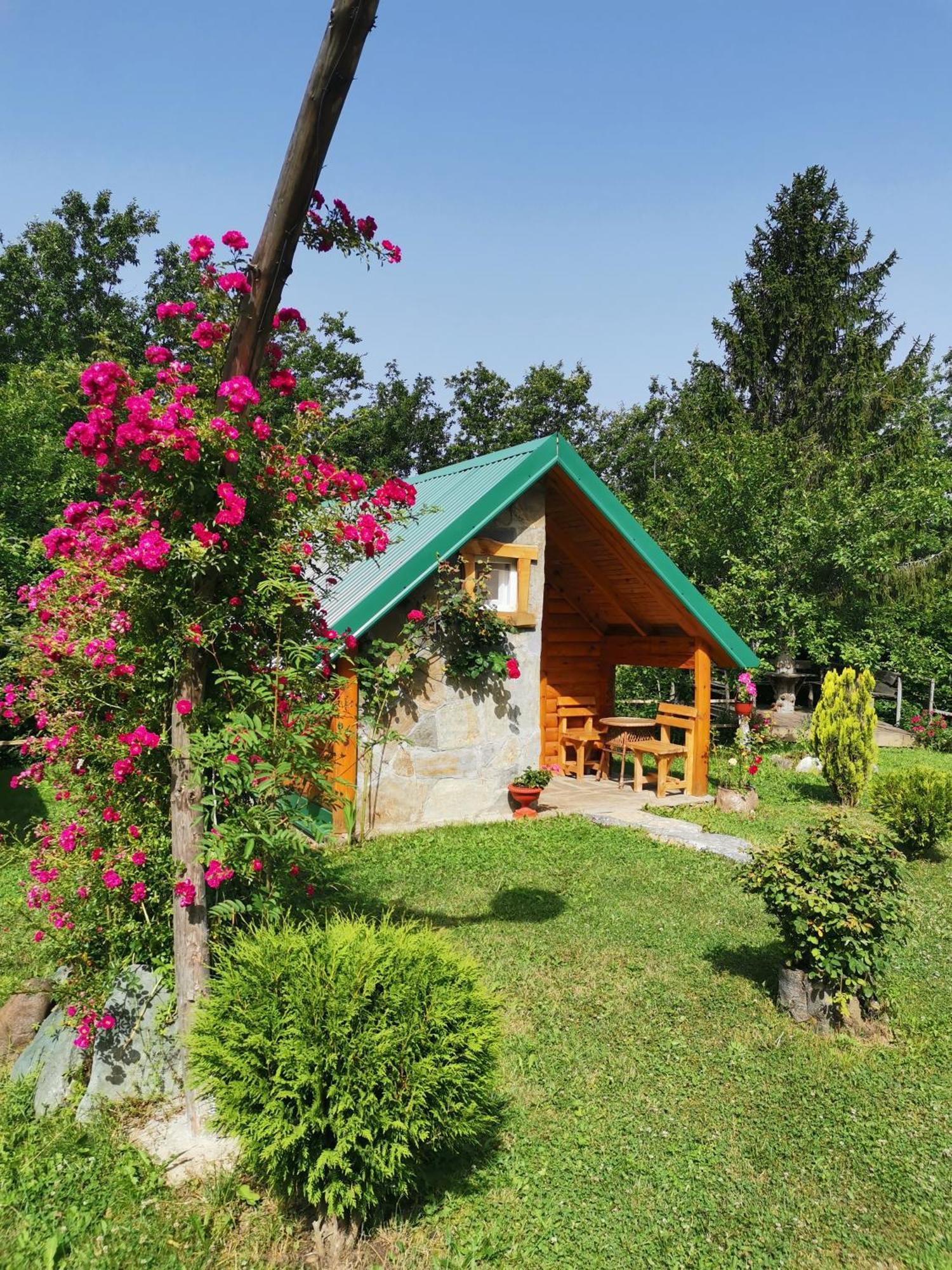 Gazela Bungalov 1 Мойковац Екстериор снимка