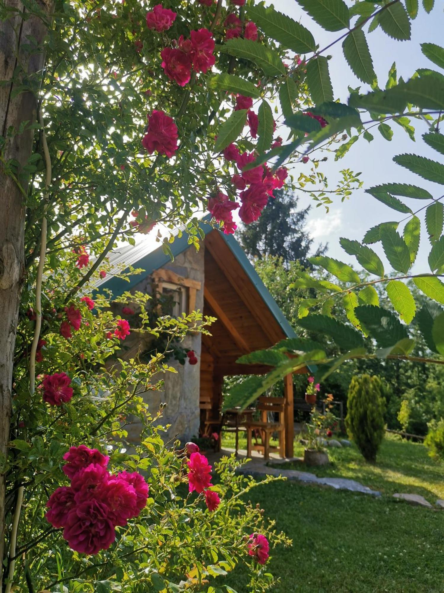 Gazela Bungalov 1 Мойковац Екстериор снимка
